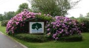 Golfclub Weselerwald e.V.